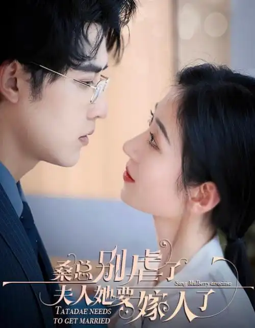 年代剧城南旧巷全集免费观看